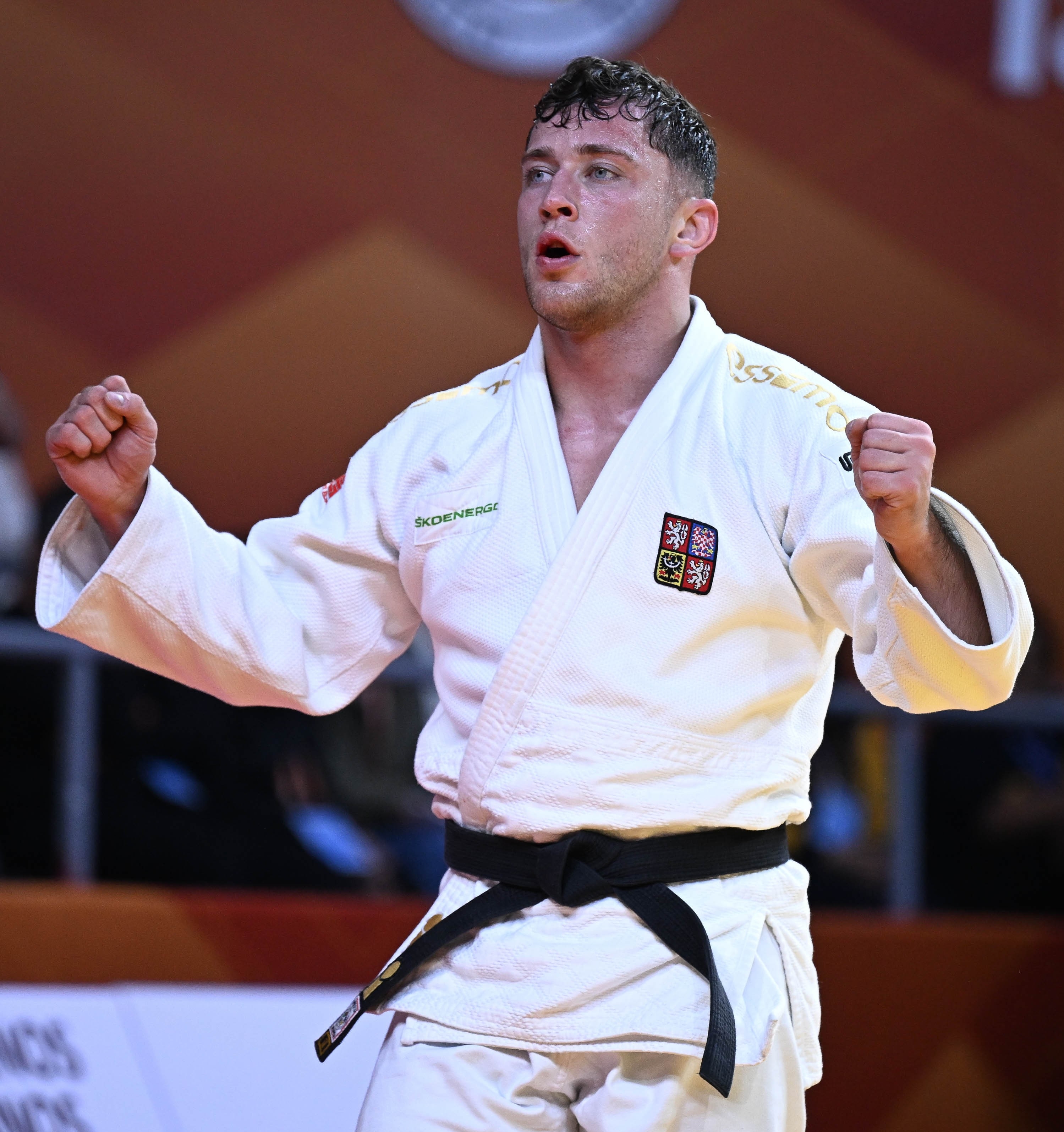 obrázek příspěvku