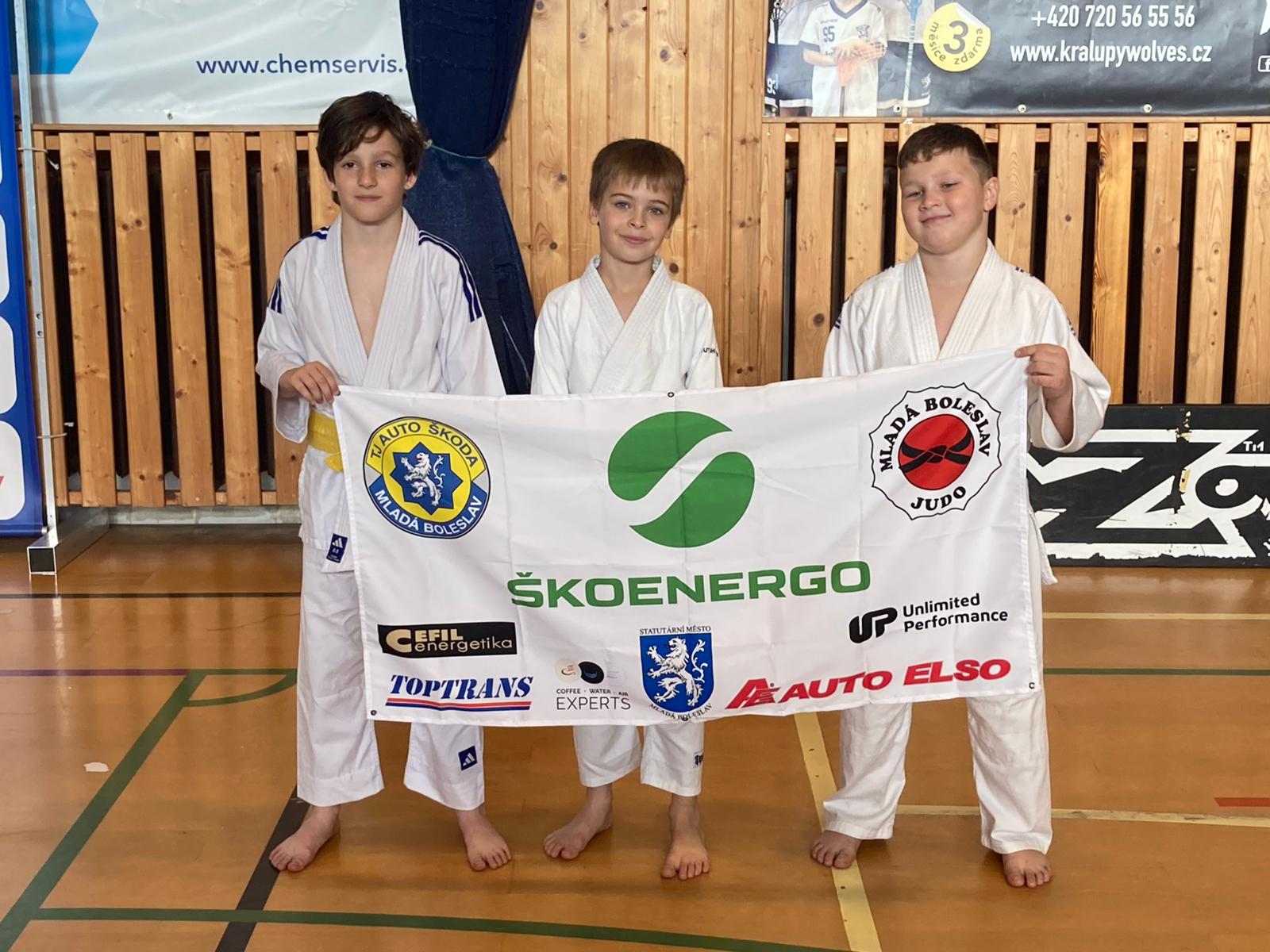 obrázek příspěvku