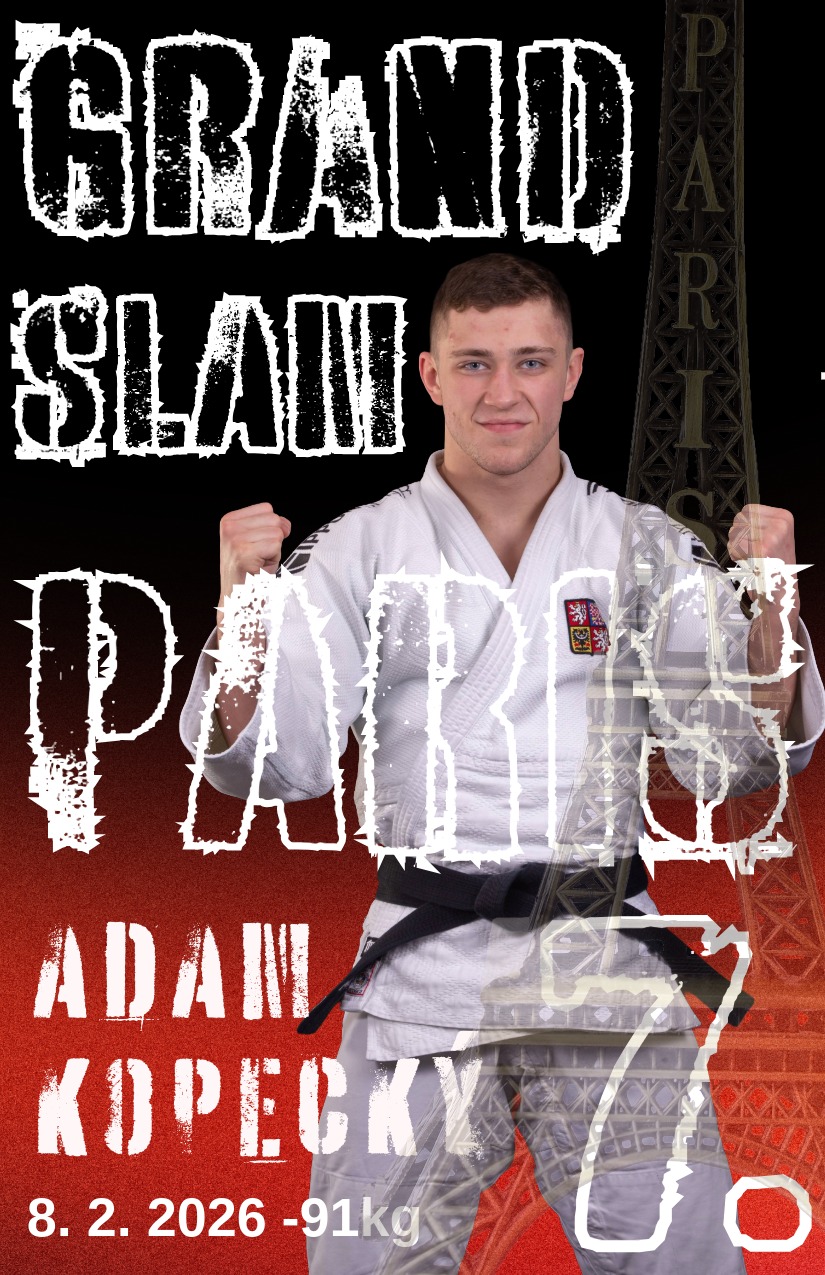 obrázek příspěvku