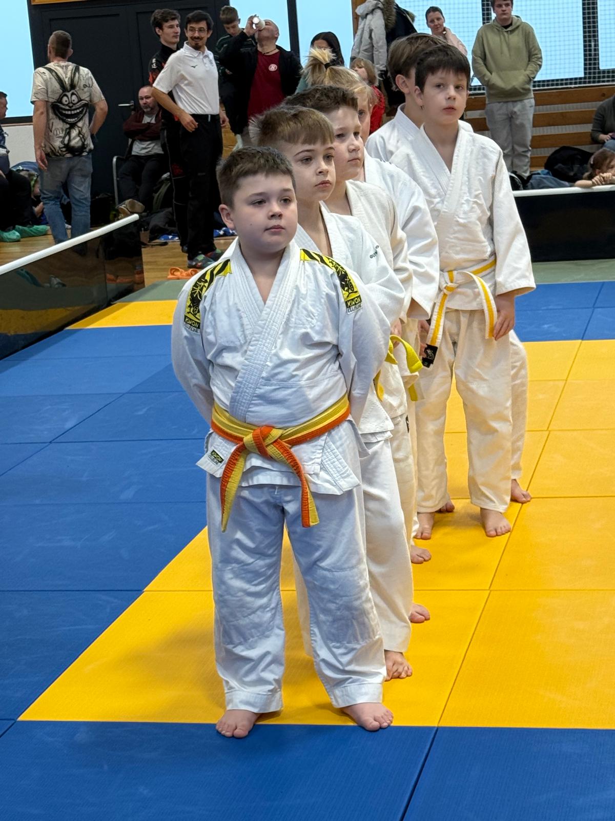 obrázek příspěvku