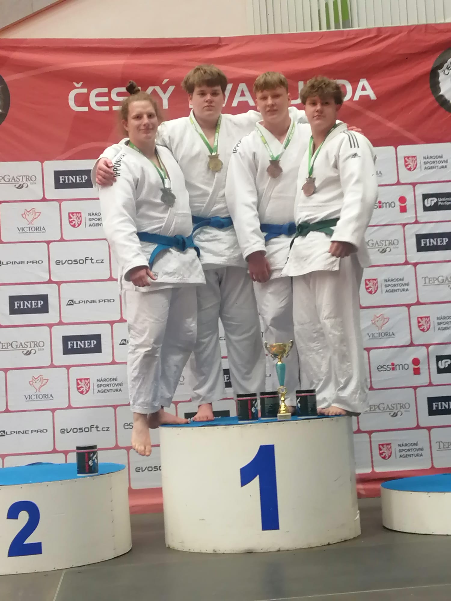 obrázek příspěvku